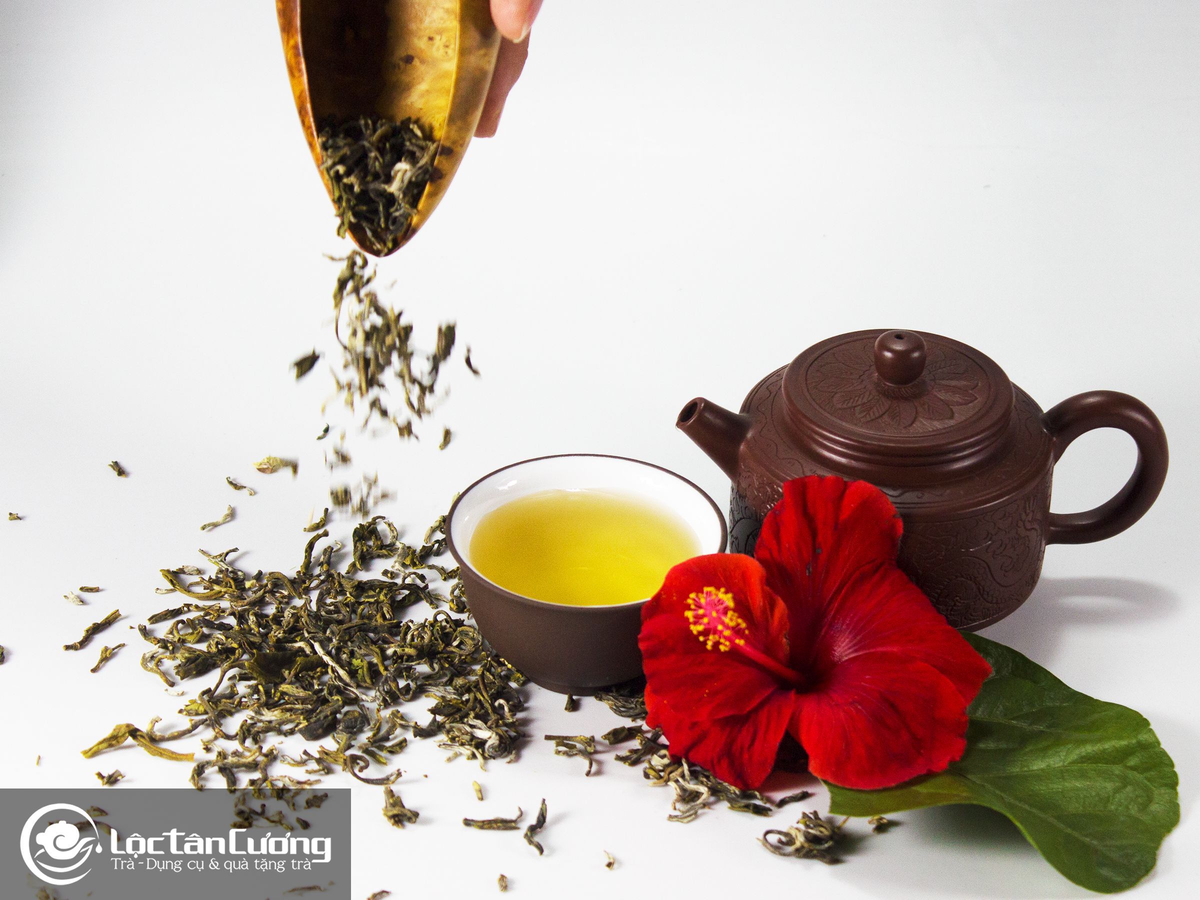 Trà shan tuyết cổ thụ tà xùa là thức uống quen thuộc của hầu hết của những người yêu thích hương vị trà rừng tự nhiên 